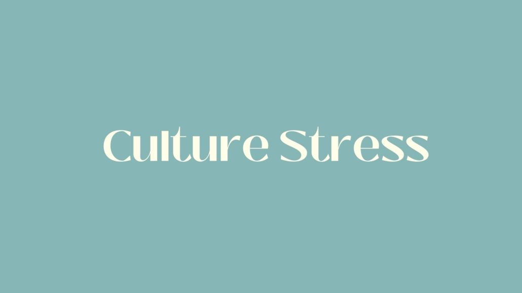 Culture Stress (or culture shock)